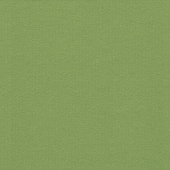 1,6 mm WhiteCore Passepartout mit individuellem Ausschnitt 13x18 cm | Maigrün
